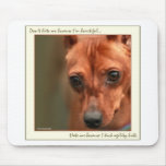 Min Pin Beautiful: Agility Mouse Pads