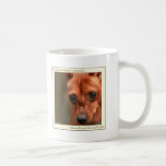 Min Pin Beautiful: Agility Mugs