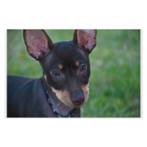 Min Pin stationary Personalized Stationery