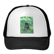 min pin trucker hat
