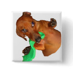 Minature Dachshund buttons