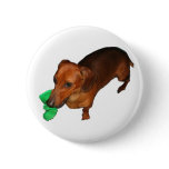 Minature Dachshund buttons