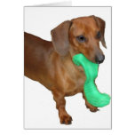 Minature Dachshund cards