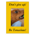 Minature Dachshund cards
