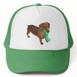 Minature Dachshund hats