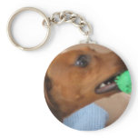 Minature Dachshund keychains
