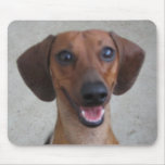 Minature Dachshund Mousepads