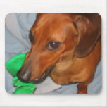 Minature Dachshund Mouse Pad