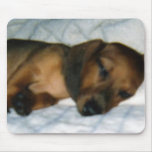 Minature Dachshund Mouse Pad