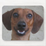 Minature Dachshund Mousepads