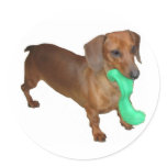 Minature Dachshund stickers