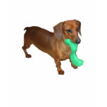 Minature Dachshund t-shirts