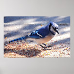 Mine All Mine Print