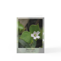 Miner's Lettuce - Native Notecard