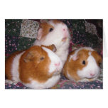 Minerva and Friends Notecard