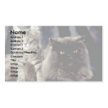 Ming And Schmoo Business Cards