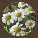 Mini autocollant de marguerite autocollants