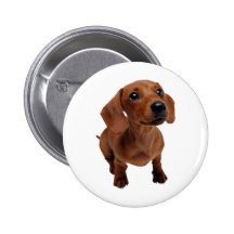 Mini Dachshund Pin