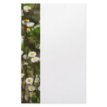 Mini Daisies Stationery