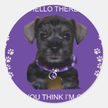 Mini_Dog_2[1] Stickers