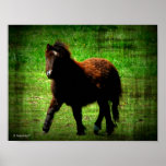 Mini Filly Poster
