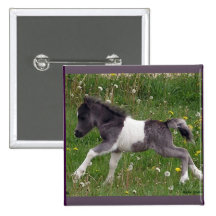 Mini Horse Buttons