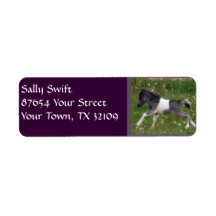 Mini Horse Return Address Labels