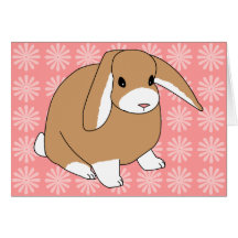 Mini Lop Rabbit Card