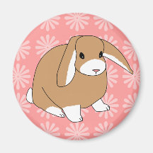 Mini Lop Rabbit Fridge Magnets
