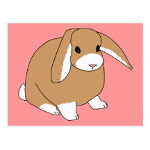 Mini Lop Rabbit Postcards