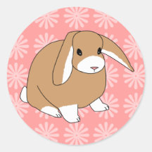 Mini Lop Rabbit Sticker