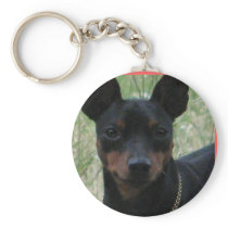 Mini pin key chain