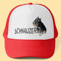 Mini Schnauzer hats