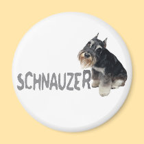 Mini Schnauzer magnets