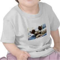 Mini Schnauzer Tshirt
