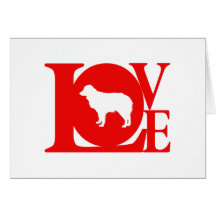 Miniature Australian Shepherd Card