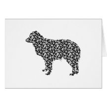 Miniature Australian Shepherd Cards