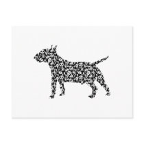 Miniature Bull Terrier