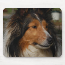 Miniature Collie Mouse Pad