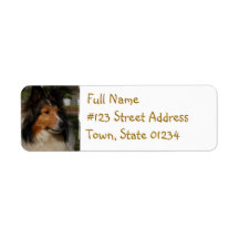 Miniature Collie Return Address Label