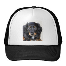 Miniature Dachshund Puppy Mesh Hats