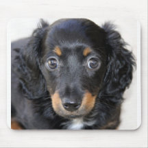 Miniature Dachshund Puppy Mouse Pad