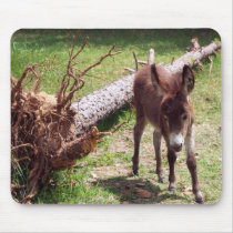 Miniature Donkey Mousepad