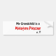 Miniature Pinscher Grandchild Bumper Sticker