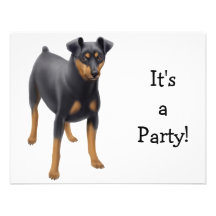 Miniature Pinscher Invitation