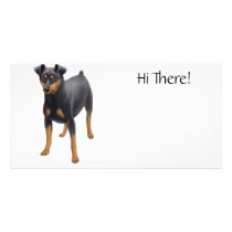 Miniature Pinscher Photo Card