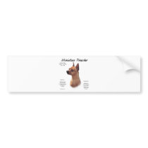 Miniature Pinscher (red) History Design