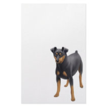 Miniature Pinscher Stationery
