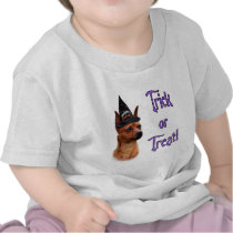Miniature Pinscher Trick