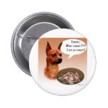 Miniature Pinscher Turkey